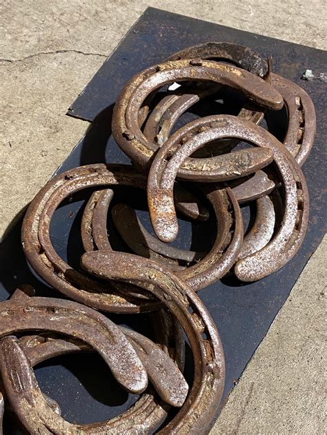 where to buy real horseshoes